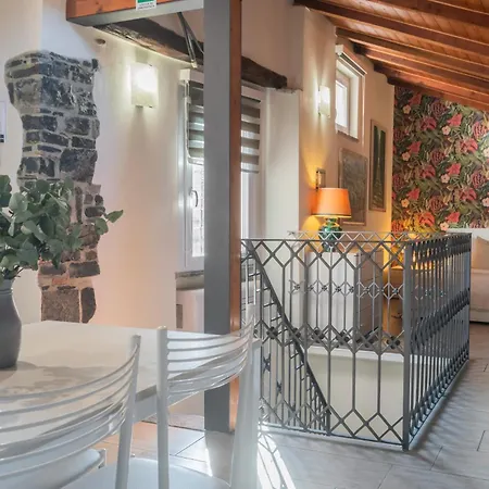 Apartment Domus In By Rent