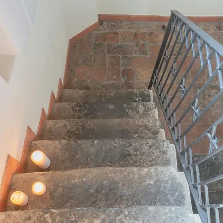 Domus In By Rent