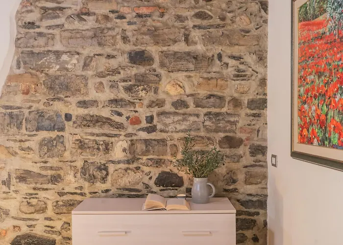 Domus In By Rent