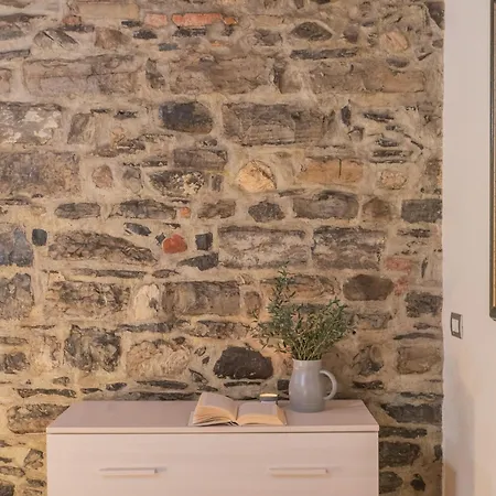 Domus In By Rent